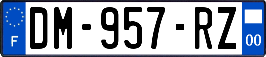 DM-957-RZ