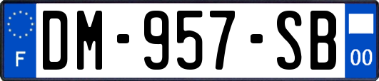 DM-957-SB
