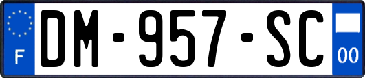 DM-957-SC