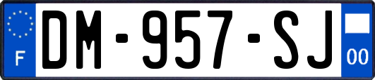 DM-957-SJ