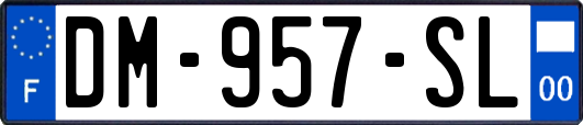 DM-957-SL