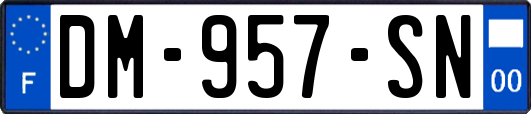 DM-957-SN