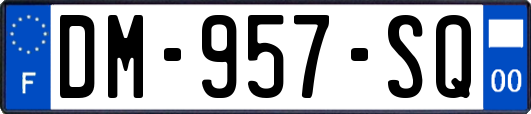 DM-957-SQ