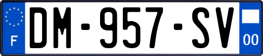 DM-957-SV