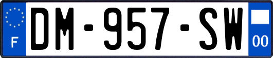 DM-957-SW