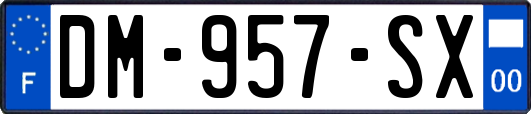 DM-957-SX