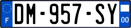 DM-957-SY