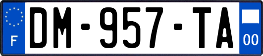 DM-957-TA