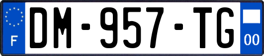 DM-957-TG