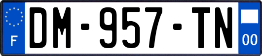 DM-957-TN