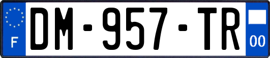 DM-957-TR