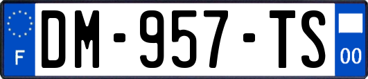 DM-957-TS