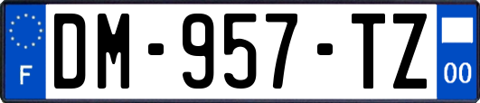 DM-957-TZ