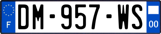 DM-957-WS