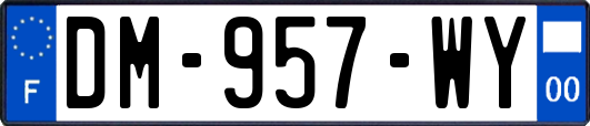DM-957-WY
