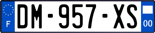 DM-957-XS