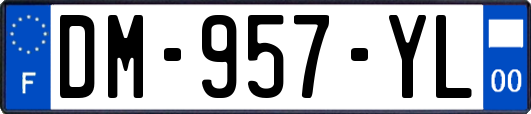 DM-957-YL