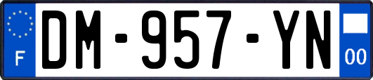 DM-957-YN