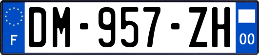 DM-957-ZH