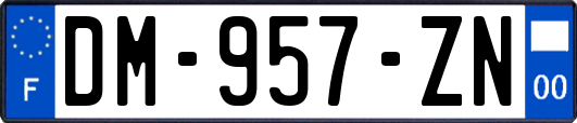 DM-957-ZN