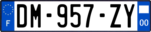 DM-957-ZY