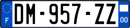 DM-957-ZZ