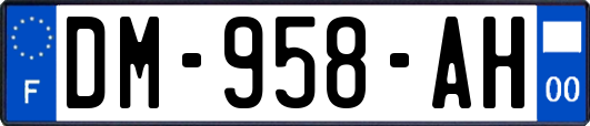 DM-958-AH