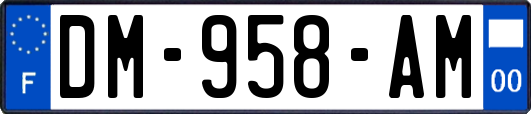 DM-958-AM