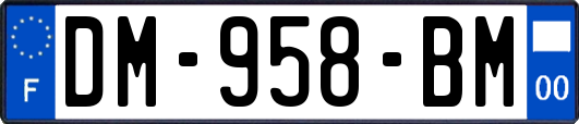 DM-958-BM