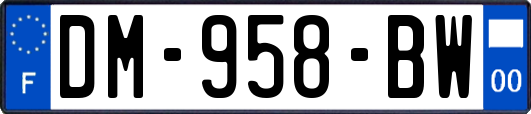 DM-958-BW