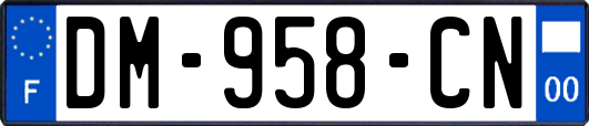 DM-958-CN