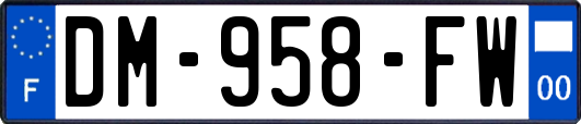 DM-958-FW