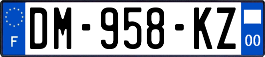 DM-958-KZ