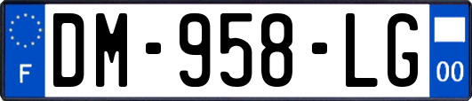 DM-958-LG