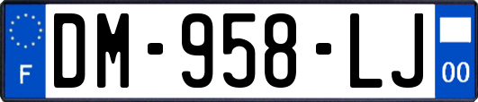 DM-958-LJ