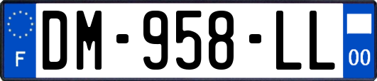 DM-958-LL