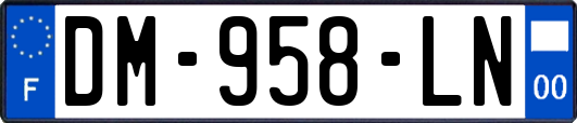 DM-958-LN