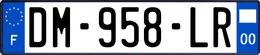 DM-958-LR