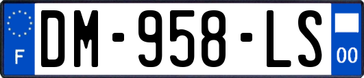 DM-958-LS