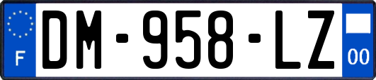 DM-958-LZ