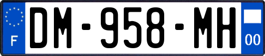 DM-958-MH