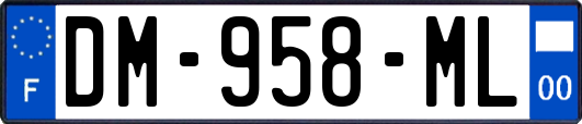 DM-958-ML