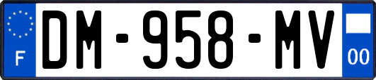 DM-958-MV