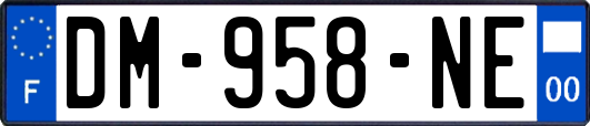 DM-958-NE