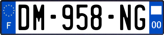 DM-958-NG