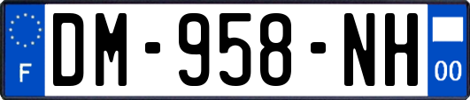 DM-958-NH