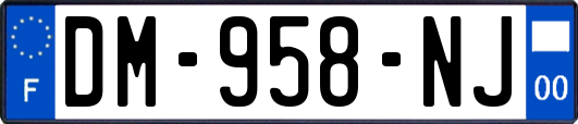 DM-958-NJ