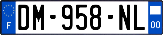 DM-958-NL