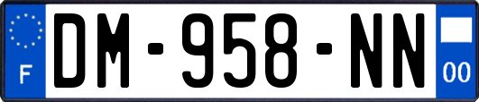DM-958-NN