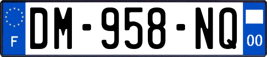 DM-958-NQ